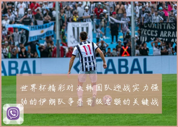 世界杯精彩对决韩国队迎战实力强劲的伊朗队争夺晋级名额的关键战役