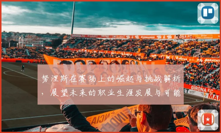 努涅斯在赛场上的崛起与挑战解析，展望未来的职业生涯发展与可能性